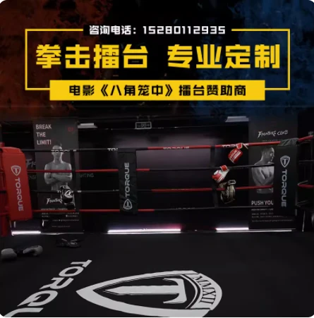 Octagon MMA:lle