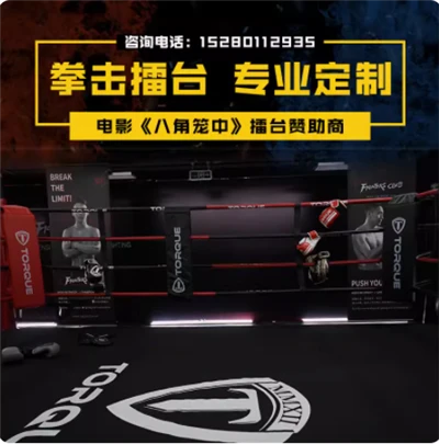 Octagon MMA:lle